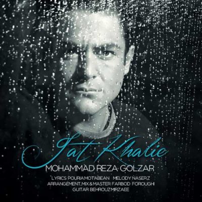 محمدرضا گلزار جات خالیه